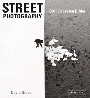 Buchcover Street Photography: Die 100 besten Bilder | David Gibson | EAN 9783791383354 | ISBN 3-7913-8335-3 | ISBN 978-3-7913-8335-4