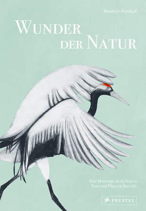 Buchcover Wunder der Natur | Beatrice Forshall | EAN 9783791389462 | ISBN 3-7913-8946-7 | ISBN 978-3-7913-8946-2