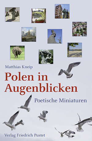 Buchcover Polen in Augenblicken | Matthias Kneip | EAN 9783791730943 | ISBN 3-7917-3094-0 | ISBN 978-3-7917-3094-3