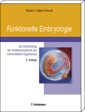 Funktionelle Embryologie