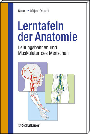 Buchcover Lerntafeln der Anatomie | Johannes W Rohen | EAN 9783794523818 | ISBN 3-7945-2381-4 | ISBN 978-3-7945-2381-8