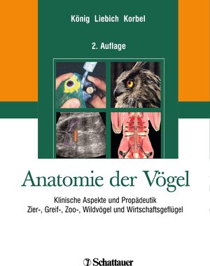 Buchcover Anatomie der Vögel  | EAN 9783794525782 | ISBN 3-7945-2578-7 | ISBN 978-3-7945-2578-2
