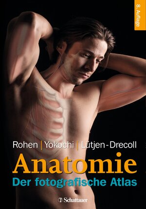 Buchcover Anatomie des Menschen | Johannes W. Rohen | EAN 9783794529810 | ISBN 3-7945-2981-2 | ISBN 978-3-7945-2981-0