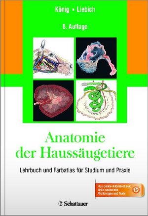 Buchcover Anatomie der Haussäugetiere | Horst Erich König | EAN 9783794529841 | ISBN 3-7945-2984-7 | ISBN 978-3-7945-2984-1