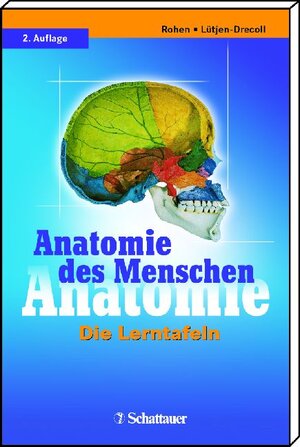 Buchcover Anatomie des Menschen | Johannes W Rohen | EAN 9783794563975 | ISBN 3-7945-6397-2 | ISBN 978-3-7945-6397-5