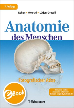 Buchcover Anatomie des Menschen | Johannes W Rohen | EAN 9783794565344 | ISBN 3-7945-6534-7 | ISBN 978-3-7945-6534-4