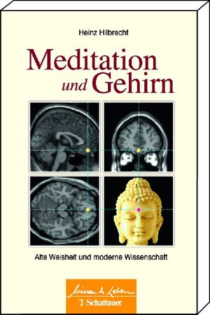 Buchcover Meditation und Gehirn | Heinz Hilbrecht | EAN 9783794568338 | ISBN 3-7945-6833-8 | ISBN 978-3-7945-6833-8