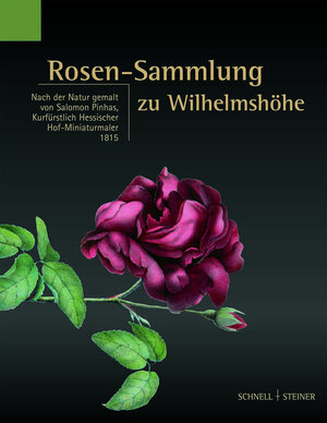 Buchcover Rosen-Sammlung zu Wilhelmshöhe  | EAN 9783795413798 | ISBN 3-7954-1379-6 | ISBN 978-3-7954-1379-8