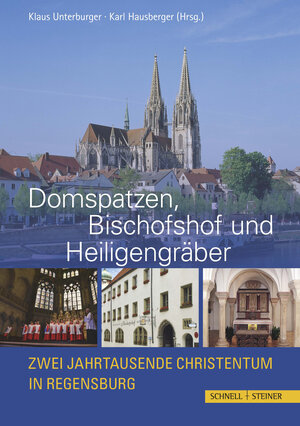 Buchcover Domspatzen, Bischofshof und Heiligengräber  | EAN 9783795428471 | ISBN 3-7954-2847-5 | ISBN 978-3-7954-2847-1