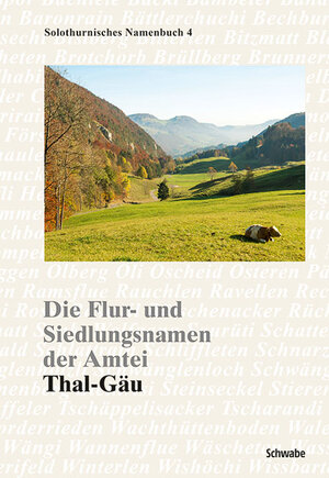 Buchcover Die Flur- und Siedlungsnamen der Amtei  | EAN 9783796536960 | ISBN 3-7965-3696-4 | ISBN 978-3-7965-3696-0
