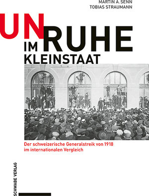 Buchcover Unruhe im Kleinstaat | Martin A. Senn | EAN 9783796545153 | ISBN 3-7965-4515-7 | ISBN 978-3-7965-4515-3