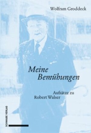 Buchcover «Meine Bemühungen» | Wolfram Groddeck | EAN 9783796548611 | ISBN 3-7965-4861-X | ISBN 978-3-7965-4861-1