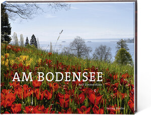 Buchcover Am Bodensee | Rolf Zimmermann | EAN 9783797705921 | ISBN 3-7977-0592-1 | ISBN 978-3-7977-0592-1