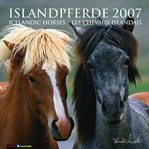 Islandpferde 2007.