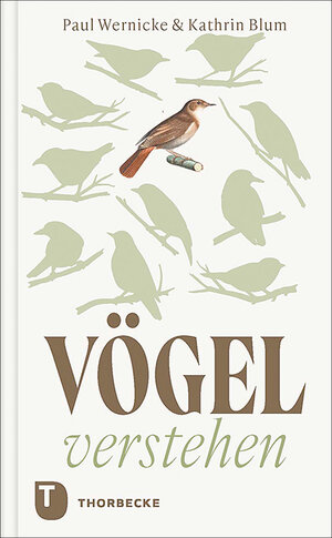Buchcover Vögel verstehen | Paul Wernicke | EAN 9783799519786 | ISBN 3-7995-1978-5 | ISBN 978-3-7995-1978-6