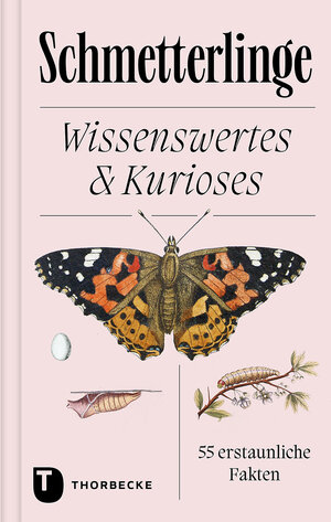 Buchcover Schmetterlinge  | EAN 9783799520508 | ISBN 3-7995-2050-3 | ISBN 978-3-7995-2050-8