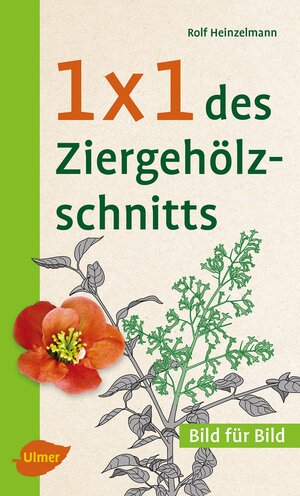 Buchcover 1 x 1 des Ziergehölzschnitts | Rolf Heinzelmann | EAN 9783800109333 | ISBN 3-8001-0933-6 | ISBN 978-3-8001-0933-3