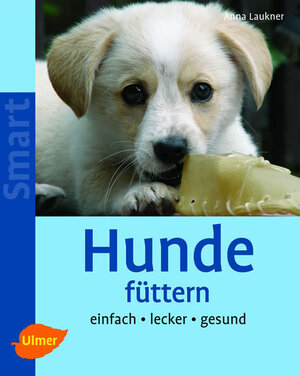 Buchcover Hunde füttern | Anna Laukner | EAN 9783800116546 | ISBN 3-8001-1654-5 | ISBN 978-3-8001-1654-6