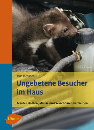 Buchcover Ungebetene Besucher im Haus | Jens Jacobsen | EAN 9783800116645 | ISBN 3-8001-1664-2 | ISBN 978-3-8001-1664-5