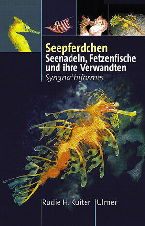 Seepferdchen: Seenadeln, Fetzenfische und ihre Verwandten. Syngnathiformes