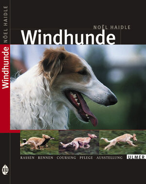 Windhunde