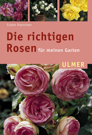 Die richtigen Rosen für meinen Garten