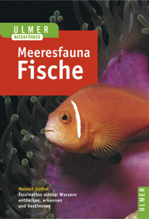 Meeresfauna. Fische: Rotes Meer. Indischer Ozean (Malediven). 396 Arten in Wort und Bild