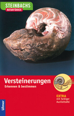 Buchcover Steinbachs Naturführer Versteinerungen | Gerhard Lichter | EAN 9783800142989 | ISBN 3-8001-4298-8 | ISBN 978-3-8001-4298-9