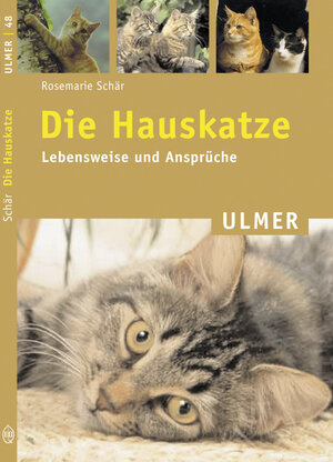 Die Hauskatze. Lebensweise und Ansprüche