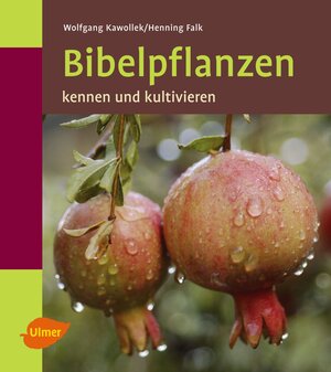 Bibelpflanzen kennen und kultivieren