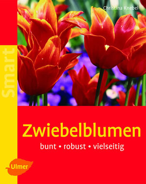 Zwiebelblumen: Bunt - robust - vielseitig