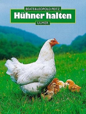 Hühner halten