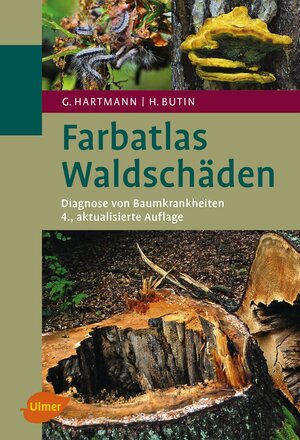 Buchcover Waldschäden | Heinz Butin | EAN 9783800158331 | ISBN 3-8001-5833-7 | ISBN 978-3-8001-5833-1