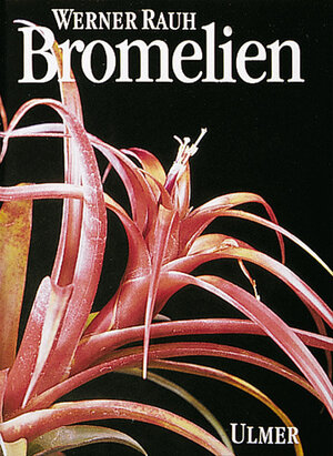 Buchcover Bromelien | Werner Rauh | EAN 9783800163717 | ISBN 3-8001-6371-3 | ISBN 978-3-8001-6371-7