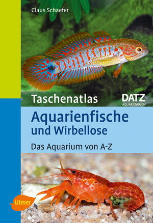 Buchcover Aquarienfische und Wirbellose | Claus Schaefer | EAN 9783800167111 | ISBN 3-8001-6711-5 | ISBN 978-3-8001-6711-1