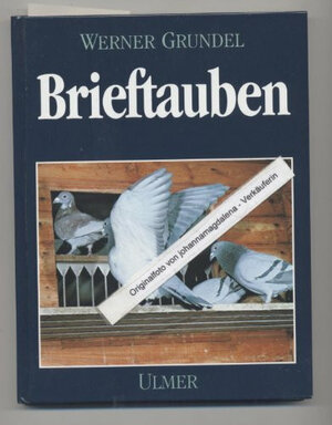 Buchcover Brieftauben | Werner Grundel | EAN 9783800172368 | ISBN 3-8001-7236-4 | ISBN 978-3-8001-7236-8