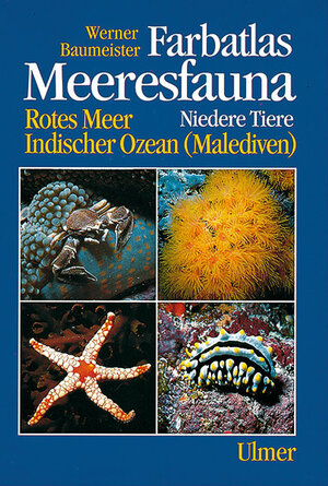 Farbatlas Meeresfauna. Rotes Meer, Indischer Ozean (Malediven): Farbatlas Meeresfauna, 2 Bde., Bd.1, Niedere Tiere: Niedere Tiere. Rotes Meer, Indischer Ozean (Malediven)