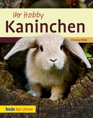 Buchcover Ihr Hobby Kaninchen | Christine Wilde | EAN 9783800175321 | ISBN 3-8001-7532-0 | ISBN 978-3-8001-7532-1