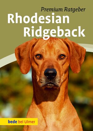 Buchcover Rhodesian Ridgeback | Annette Schmitt | EAN 9783800177882 | ISBN 3-8001-7788-9 | ISBN 978-3-8001-7788-2