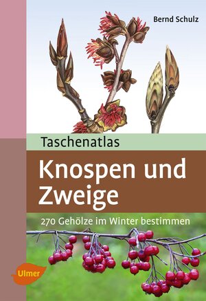 Buchcover Taschenatlas Knospen und Zweige | Bernd Schulz | EAN 9783800182978 | ISBN 3-8001-8297-1 | ISBN 978-3-8001-8297-8