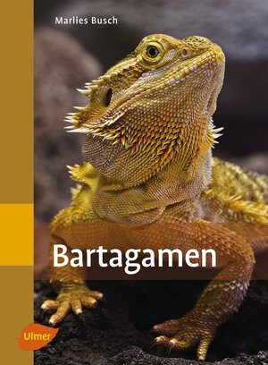 Buchcover Bartagamen | Marlies Busch | EAN 9783800191093 | ISBN 3-8001-9109-1 | ISBN 978-3-8001-9109-3