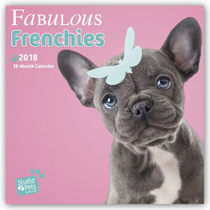 Buchcover Fabulous Frenchies - French Bulldogs 2018 - 18-Monatskalender | Myrna Huijing | EAN 9783800339389 | ISBN 3-8003-3938-2 | ISBN 978-3-8003-3938-9