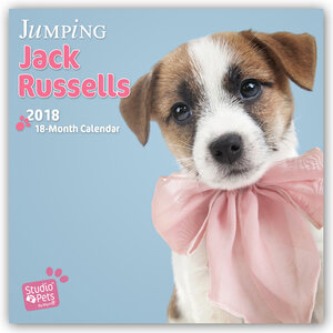 Buchcover Jumping Jack Russels - Jack Russel Terrier 2018 - 18-Monatskalender | Myrna Huijing | EAN 9783800339396 | ISBN 3-8003-3939-0 | ISBN 978-3-8003-3939-6