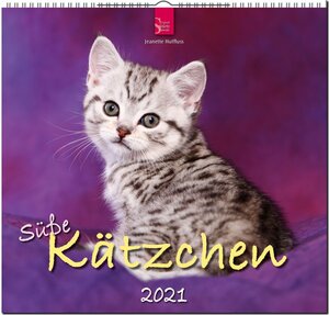 Buchcover Süße Kätzchen | EAN 9783800363766 | ISBN 3-8003-6376-3 | ISBN 978-3-8003-6376-6