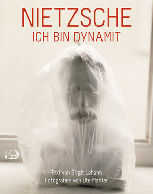 Buchcover Nietzsche | Birgit Lahann | EAN 9783801205041 | ISBN 3-8012-0504-5 | ISBN 978-3-8012-0504-1