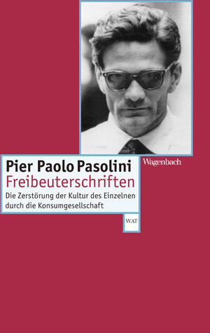 Buchcover Freibeuterschriften | Pier Paolo Pasolini | EAN 9783803123176 | ISBN 3-8031-2317-8 | ISBN 978-3-8031-2317-6