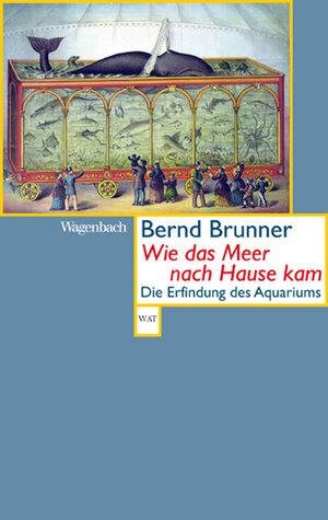 Buchcover Wie das Meer nach Hause kam | Bernd Brunner | EAN 9783803126535 | ISBN 3-8031-2653-3 | ISBN 978-3-8031-2653-5