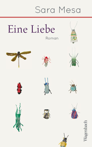 Buchcover Eine Liebe | Sara Mesa | EAN 9783803133519 | ISBN 3-8031-3351-3 | ISBN 978-3-8031-3351-9