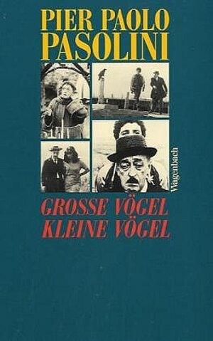 Große Vögel, kleine Vögel