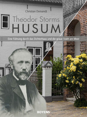 Buchcover Theodor Storms Husum | Christian Demandt | EAN 9783804215269 | ISBN 3-8042-1526-2 | ISBN 978-3-8042-1526-9